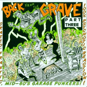 Various - Back From The Grave, Part 3