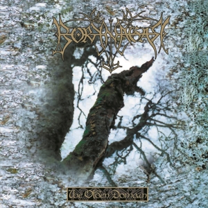 Borknagar - The Olden Domain