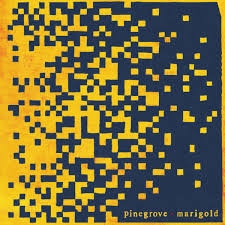 Pinegrove - Marigold (yellow)