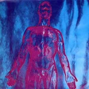 Nirvana - Sliver/dive