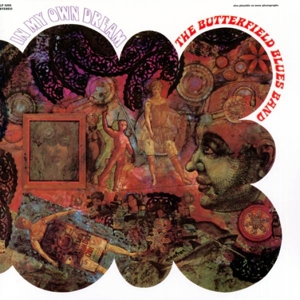 Butterfield Blues Band - In My Own Dream