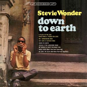 Wonder, Stevie - Down To Earth