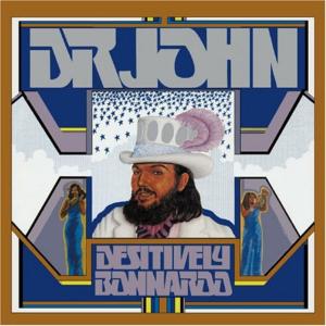 Dr. John - Desitively Bonnaroo