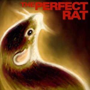 Perfect Rat - Endangered Languages
