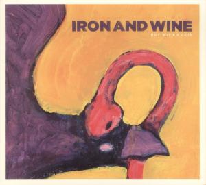Iron And Wine - Boy With A Coin