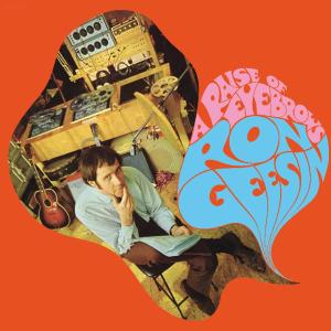 Geesin, Ron - A Raise Of Eyebrows (180 Gr)