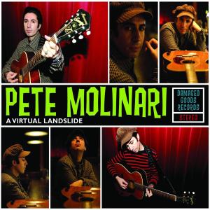 Molinari, Pete - A Virtual Landslide