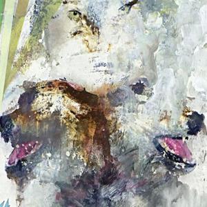 These Arms Are Snakes - Tail Swallower And Dove