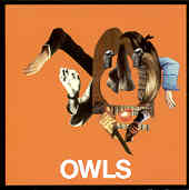 Owls - Owls