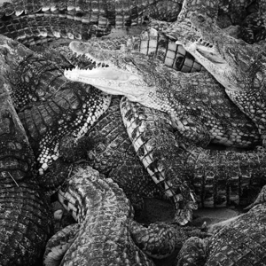 Levienaise-farrouch, Emilie - Like Water Through The Sand