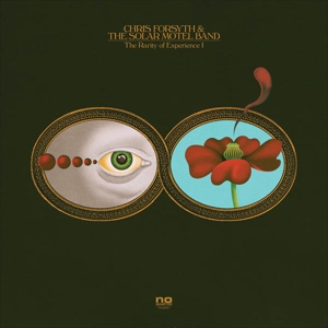 Forsyth, Chris & The Solar Motel Band - The Rarity Of Experience