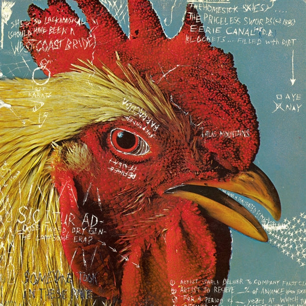 Pavement - Watery, Domestic (120 Gr)