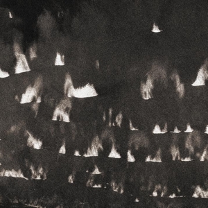 Heavy Winged - Fields Within Fields (+ Cd)