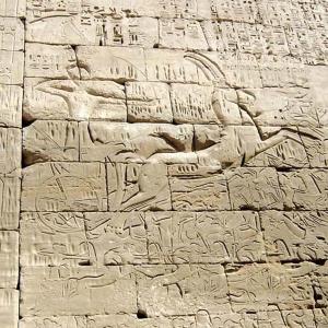 Sun Ra Arkestra - Egypt Strut (180 Gr)