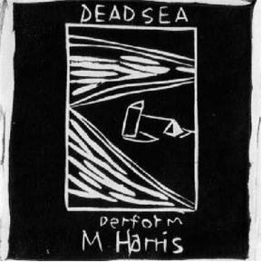 Dead C - Max Harris