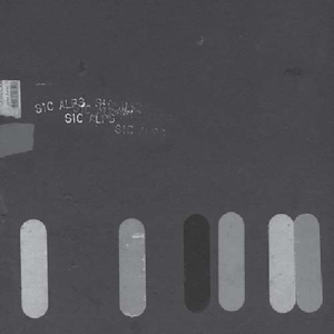 Sic Alps - Napa Asylum