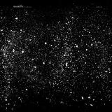 Mamiffer - The World Unseen