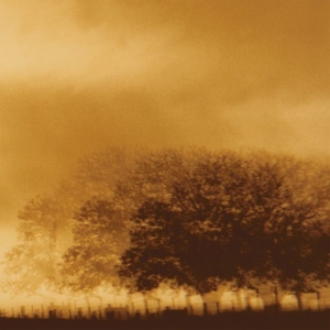 Infinite Light Ltd - Infinite Light Ltd