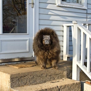 Sleeping Bag - Sleeping Bag