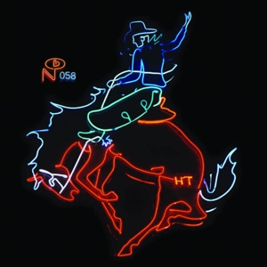 Various - Wayfaring Strangers: Cosmic American Music