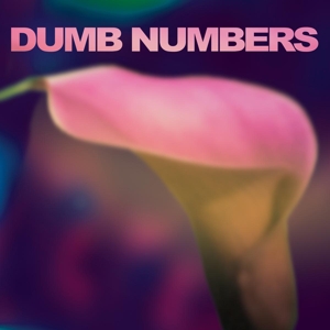 Dumb Numbers - Dumb Numbers (blue Vinyl)