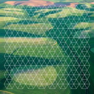 Plotnick, Henry - Fields