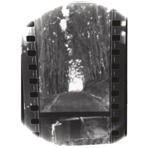 Seahaven - Winter Forever