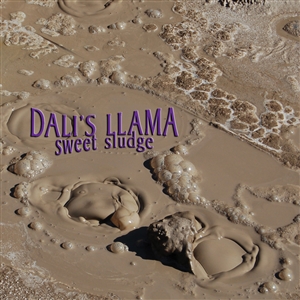 Dali's Llama - Sweet Sludge