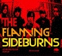 Flaming Sideburns - Let Me Take You Far
