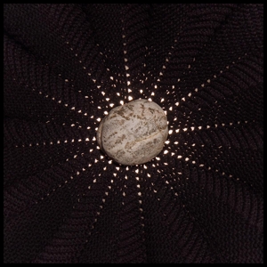 Baldwin, Nat - In The Hollows