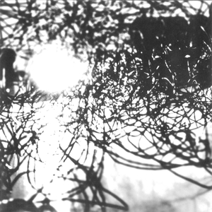 Thisquietarmy/syndrome - Muhka (10")