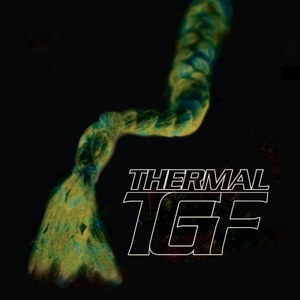 Teen Girl Fantasy - Thermal Ep