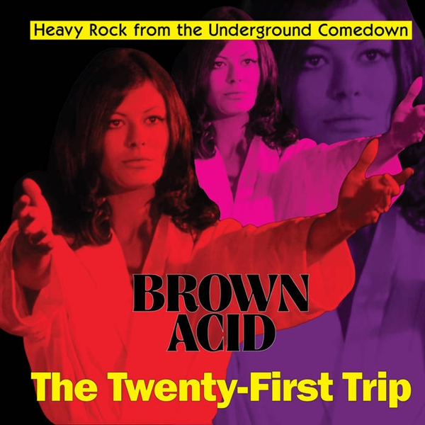 Various - Brown Acid: The Twenty-first Trip