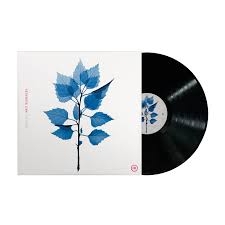 Berninger, Matt - Get Sunk