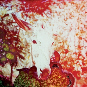 Jerusalem In My Heart - If He Dies, If If If If If If (180 Gr)