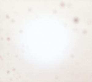 Yo La Tengo - There's A Riot Going On