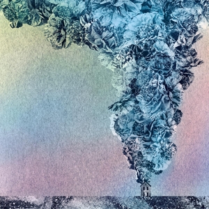 Gibson, Daughn - Carnation