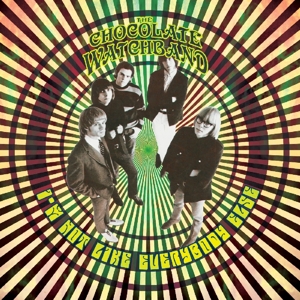 Chocolate Watchband - I'm Not Like Everybody Else (color)