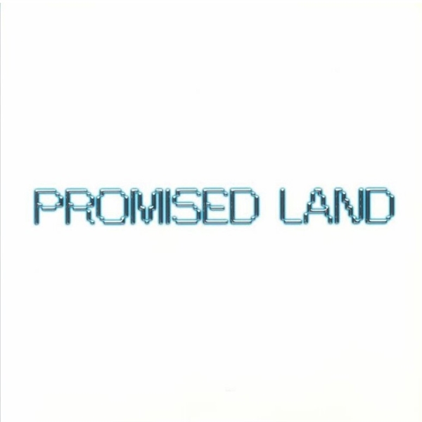 Vintage Culture - Promised Land