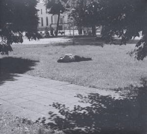 Self Defense Family - Heaven Is Earth