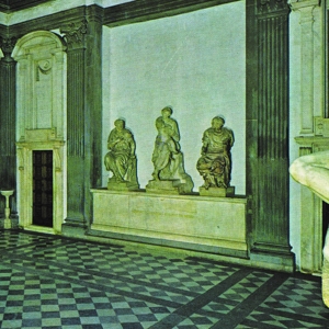 Ducktails - St.catherine