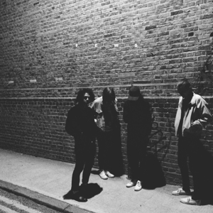 Fews - Means (180 Gr)