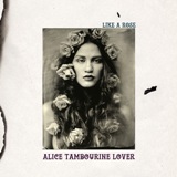 Alice Tamburine Lover - Like A Rose