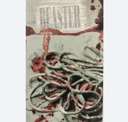 Sugar - Beaster