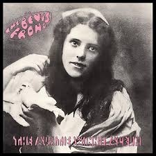 Bevis Frond - The Auntie Winnie Album (rsd 2017)