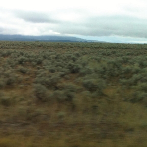 Caroline Says - 50, 000, 000 Elvis Fans Can't Be Wrong