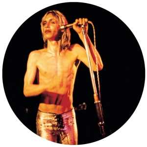 Pop, Iggy & The Stooges - More Power (pic)
