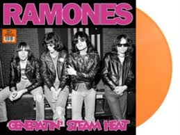 Ramones, The - Generatin' Steam Heat: Live In Germany 1978