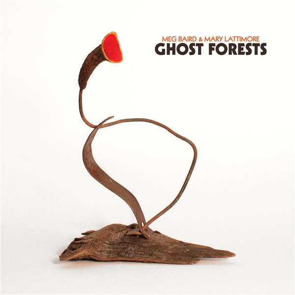 Baird, Meg & Mary Lattimore - Ghost Forests (green Vinyl)