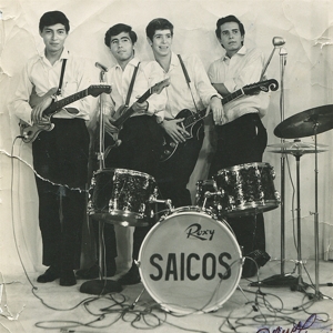 Los Saicos - Demolicion!